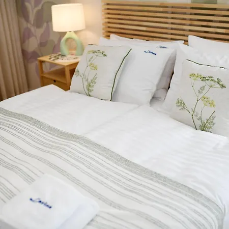 Apartman Larina *