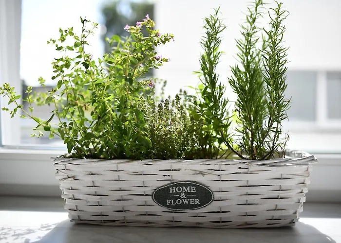 Διαμέρισμα Larina *